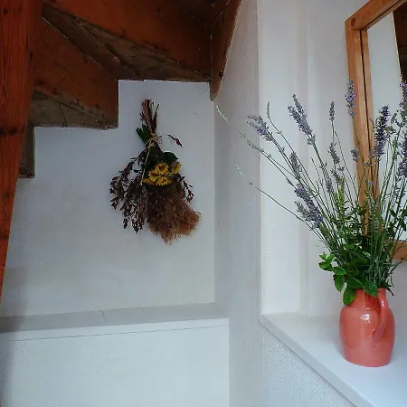Atelier D'art Saint Leonard Guest house *
